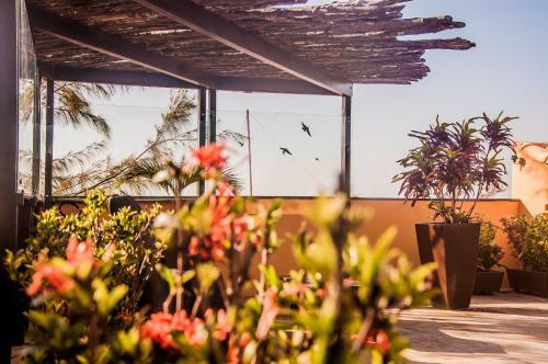 Hostal Pousada Vento De Jeri
