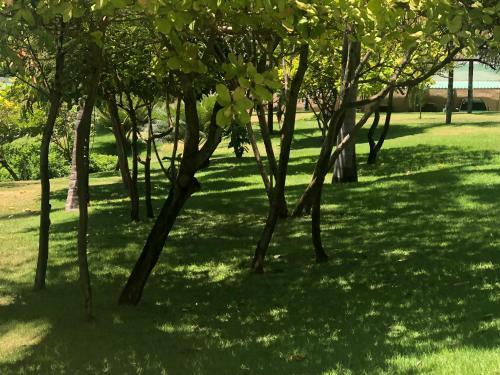 Apartamento Beach Place Resort Residence