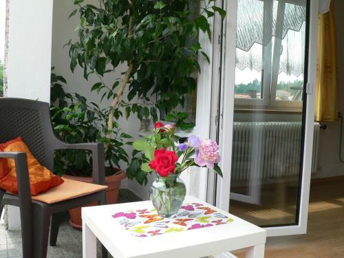 Hostal Penzion Kuku