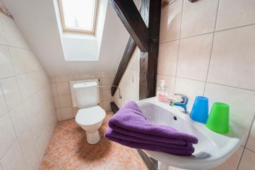 Hostal Pension Rosa