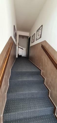 Hostal Pension Vltav�n