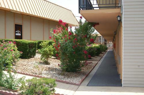 Motel Executive Inn And Suites Springdale
