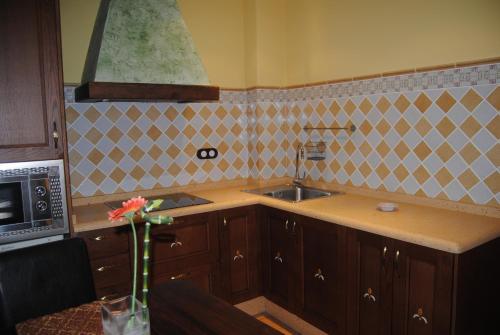 Apartamento Alojamientos La Azacaya