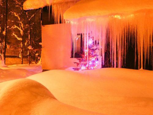 Hostal Ubytov�n� V Soukrom� Harrachov 392