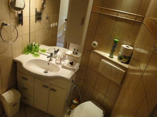 Vitezna 20 Apartment