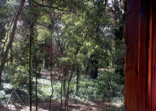 Lodge Caba�as Las Sirenas