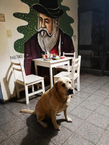 Sosahaus Hostel Mendoza