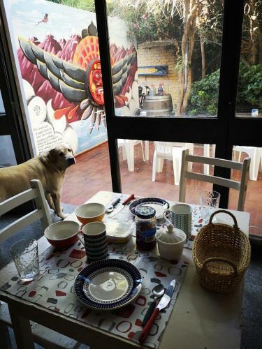 Sosahaus Hostel Mendoza