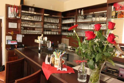 Hotel Sk�la