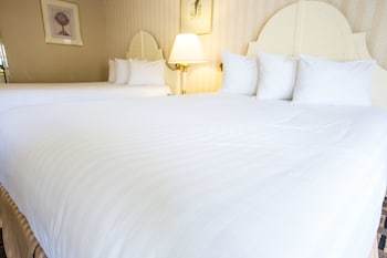 Hotel Anaheim Carriage Inn
