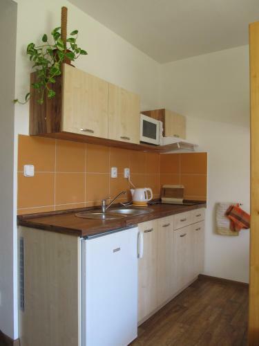 Apartamento Berger Pec Privat