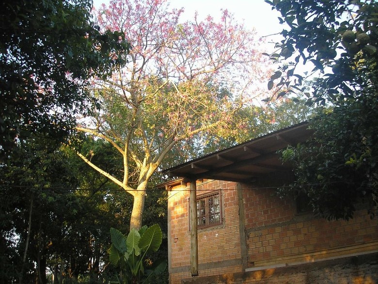 Casa Del Rio