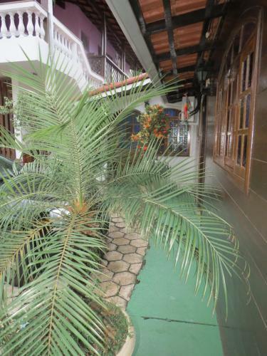 Hostal Pousada Novo Encanto Maresias