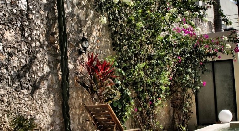 Bed & Breakfast La Pantera Negra