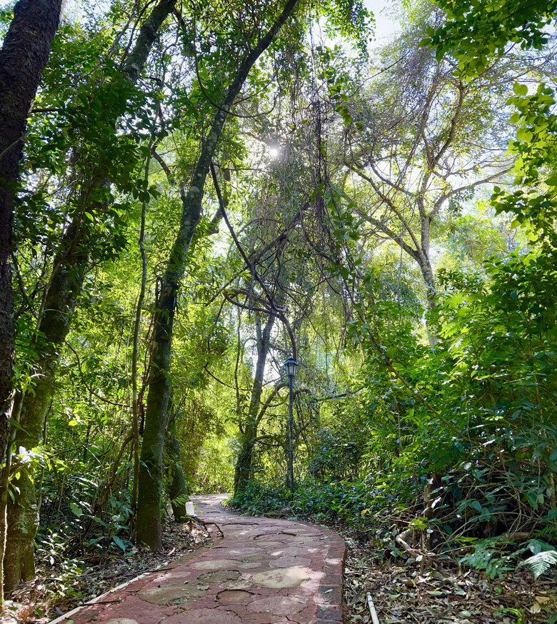 Lodge Caba�as Luces De La Selva