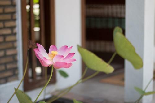 Hostal Pousada E Chal�s Aquarius