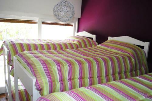 Coloria Hostel