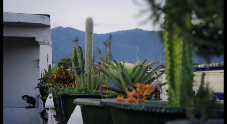 Hotel El Diablo Y La Sandia
