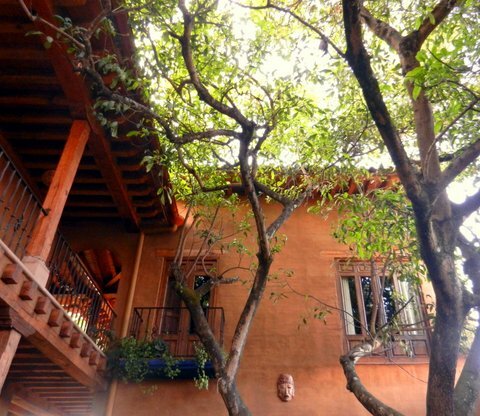 Hotel Posada Yolihuani