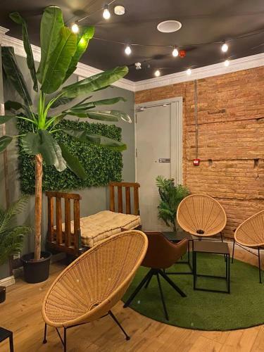 Black Swan Hostel