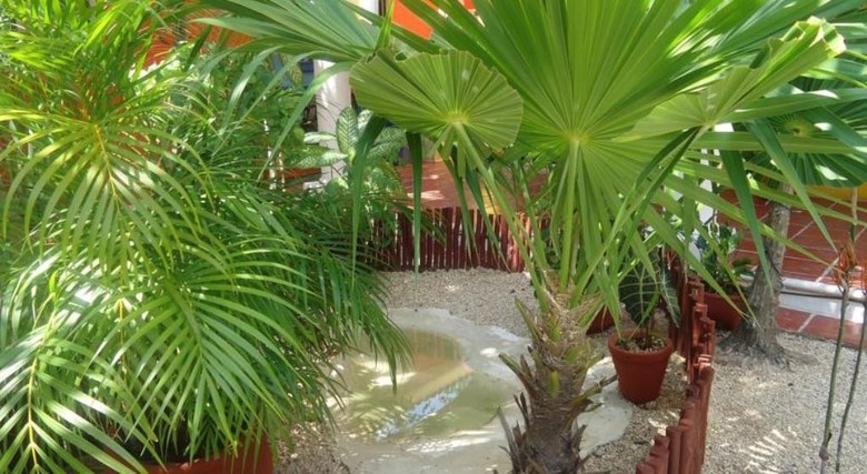 El Acuario Hotel
