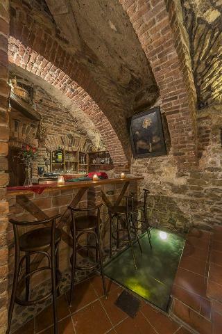 Hotel Cerny Slon