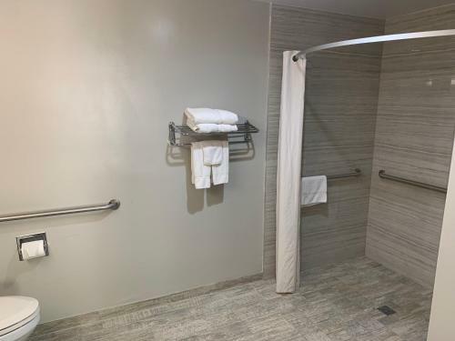 Hotel Knights Inn Buena Park