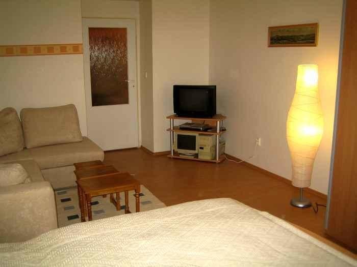 Cozy Apartment Downtown