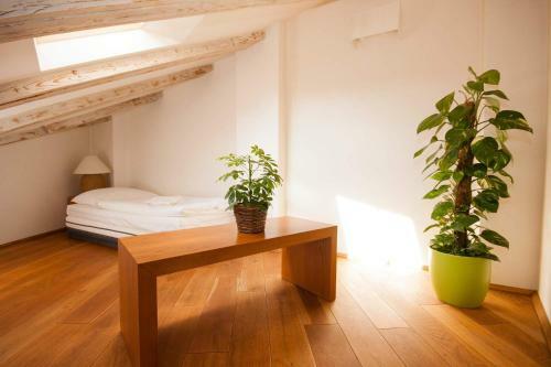 Apartamentos Kozna Loft