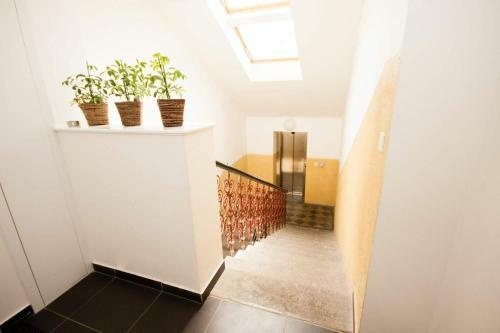 Apartamentos Kozna Loft