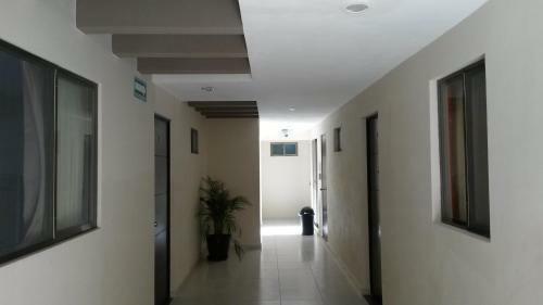 Hotel &amp; Suites Domani