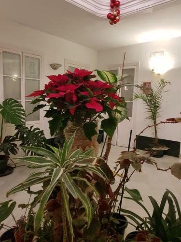 Apartamento Los Balcones