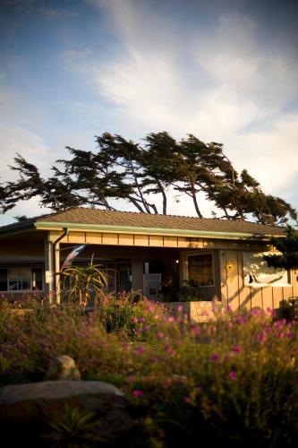 Hotel Cambria Shores Inn
