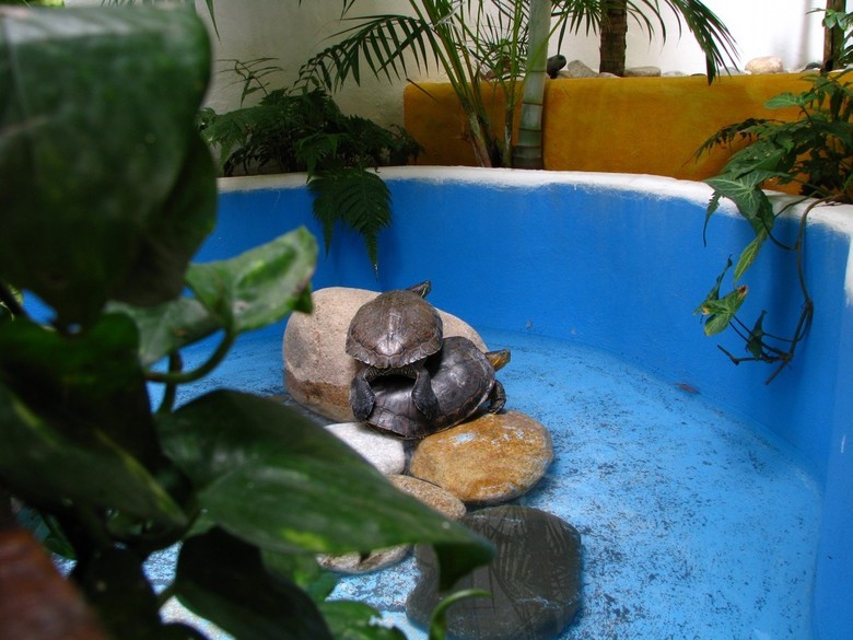 Hotel Luna Liquida