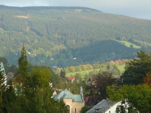 Apartm�ny Hlava