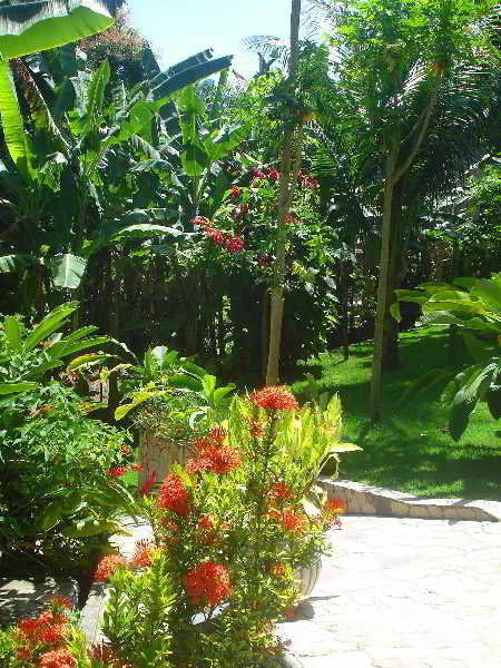 Hostal Pousada Tia Gloria