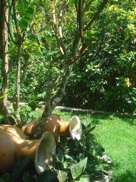 Hostal Pousada Tia Gloria