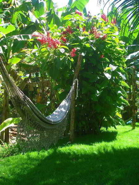 Hostal Pousada Tia Gloria