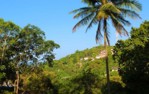 Bed & Breakfast Pousada Gongo