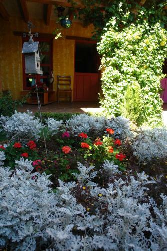 Hotel Posada Primavera