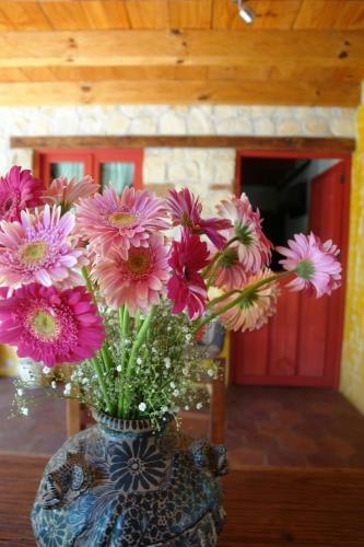 Hotel Posada Primavera