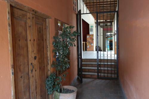 Puerta Vieja Hostel