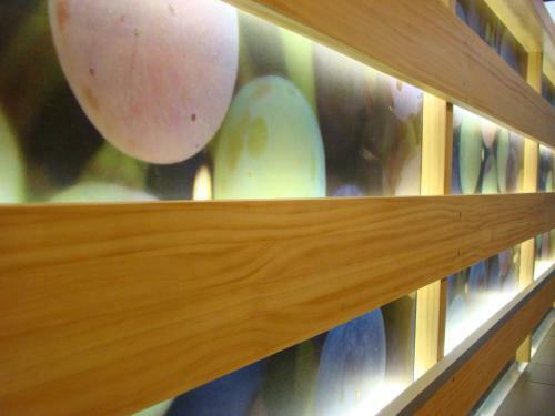 Hotel Forum Evoluci�n