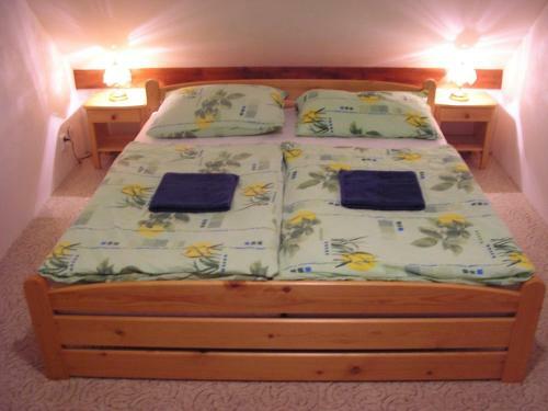Hostal Pension-apartmany Apollo