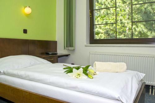Hotel ?ir�k