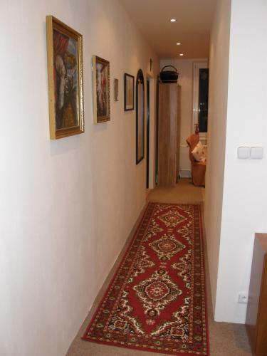 Apartments Meixner