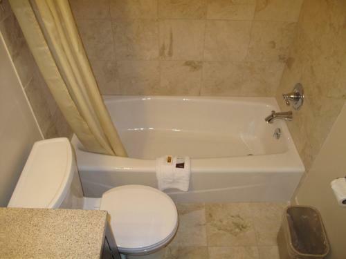 Budget Host Inn Saga Motel