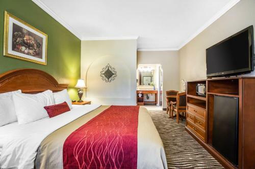Hotel Comfort Inn At Irvine Spectrum