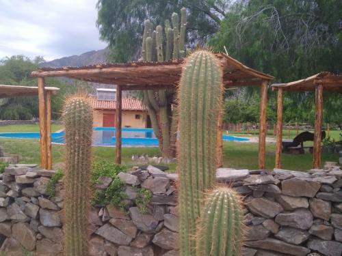 Caba�as En Cafayate