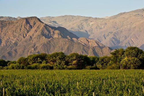 Hotel Grace Cafayate